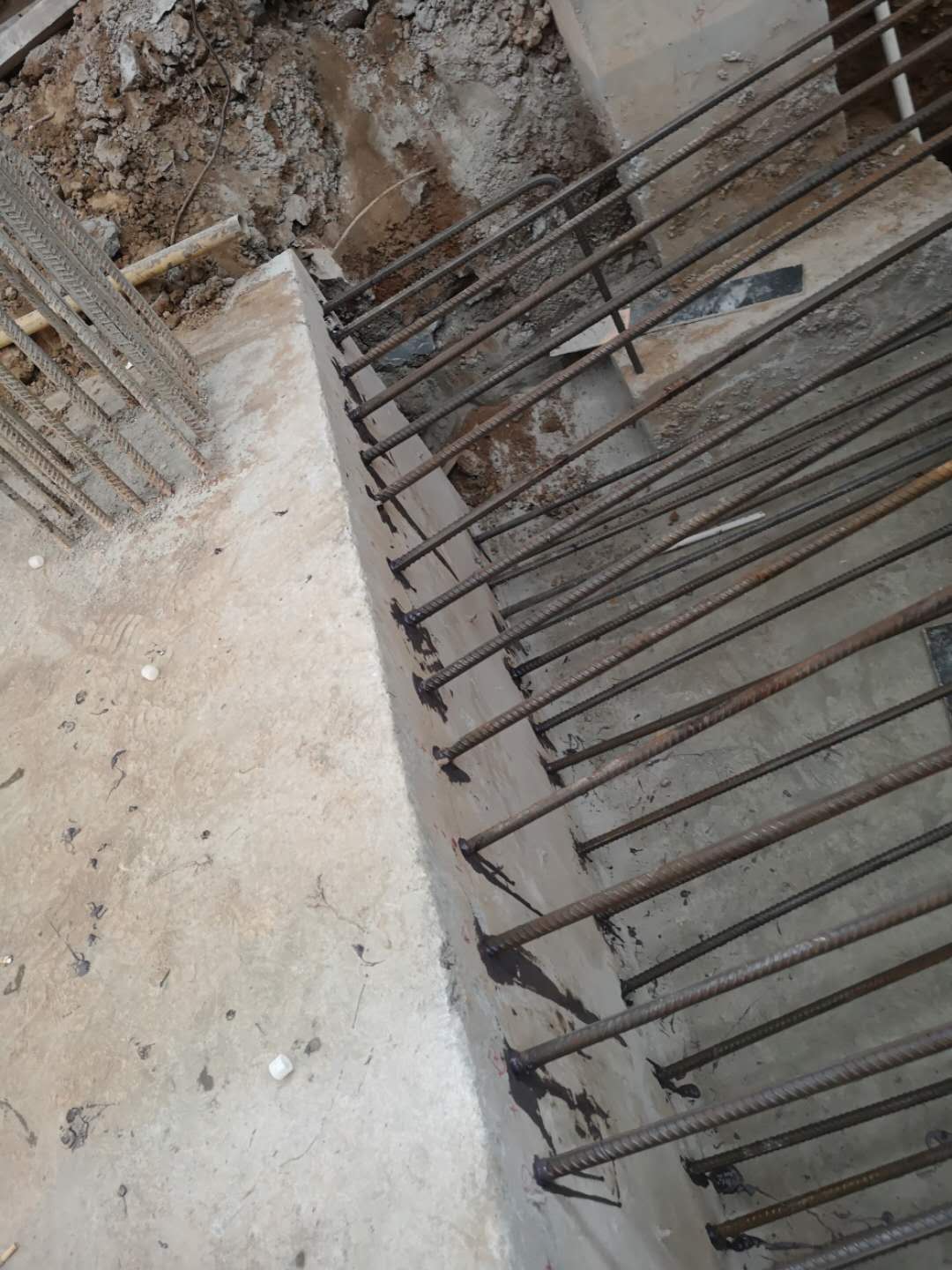 1571817922772077.jpg 1571817922772077.jpg