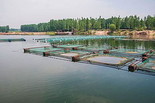 內(nèi)陸水產(chǎn)養(yǎng)殖存在的問題與未來發(fā)展趨勢